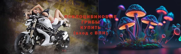 прущая мука Каменск-Шахтинский