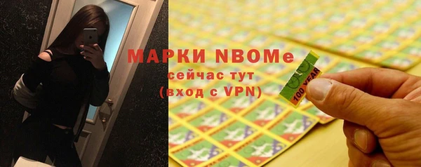 шишки Каменка