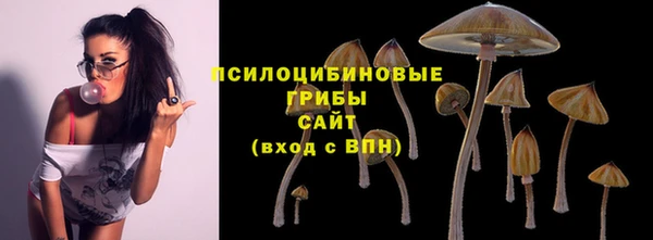 шишки Каменка