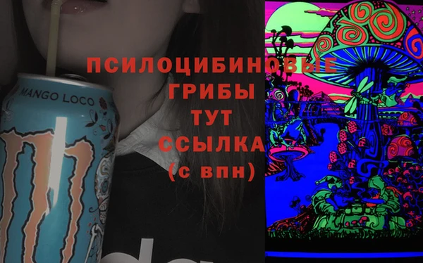 гашик Каменногорск