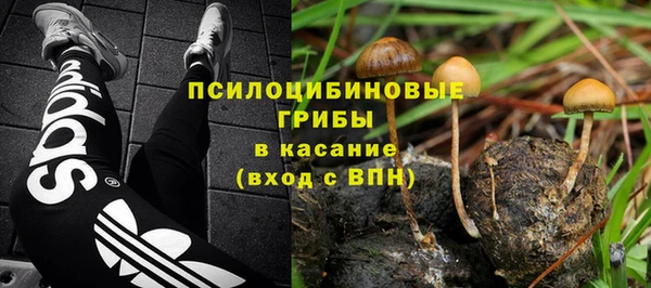 шишки Каменка