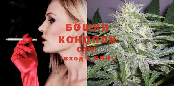 шишки Каменка