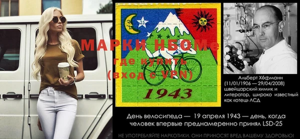 шишки Каменка