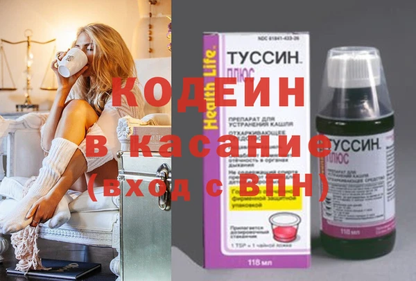 шишки Каменка