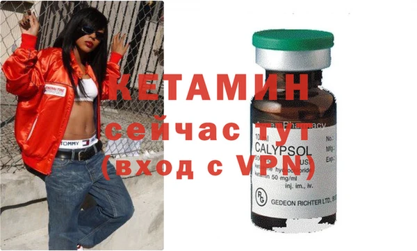 шишки Каменка
