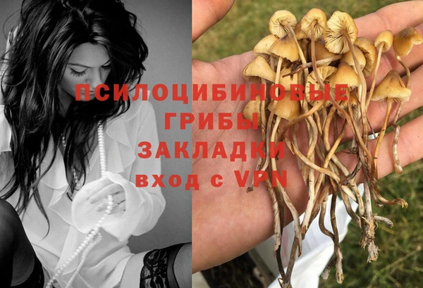 гашик Каменногорск