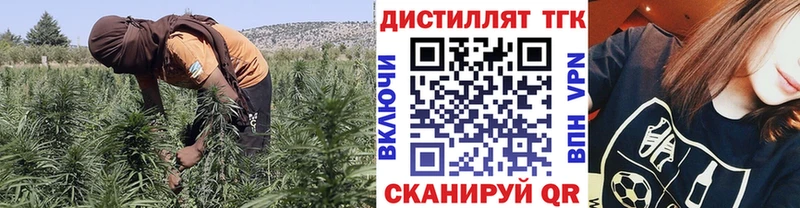 Купить закладки  Сатка  ТГК жижа 
